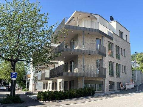 Albstadt Wohnungen, Albstadt Wohnung mieten