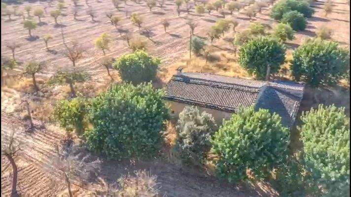 Projekt einer Finca mit Weinberg