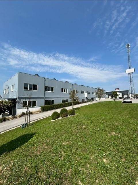 Eggendorf im Traunkreis Halle, Eggendorf im Traunkreis Hallenfläche