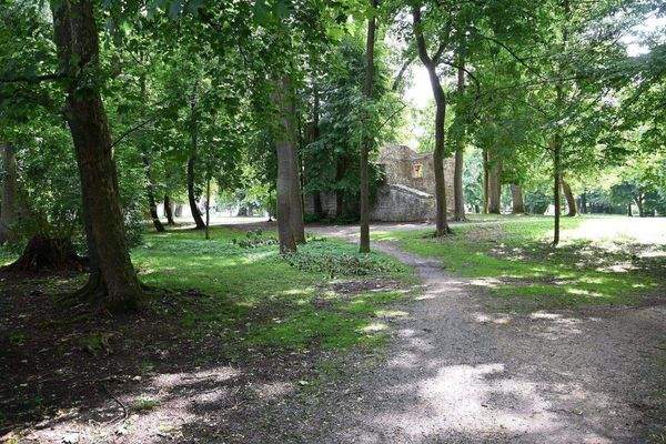 20253006 Teublitz HAUS A 23 (65).JPG