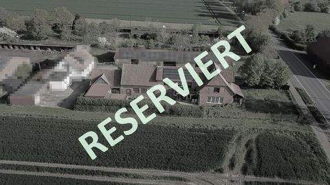 Steyerberg Häuser, Steyerberg Haus kaufen