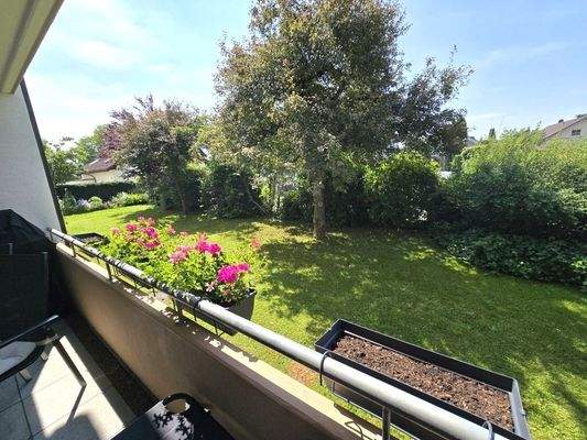 20250611_111820 (Mittel).jpg