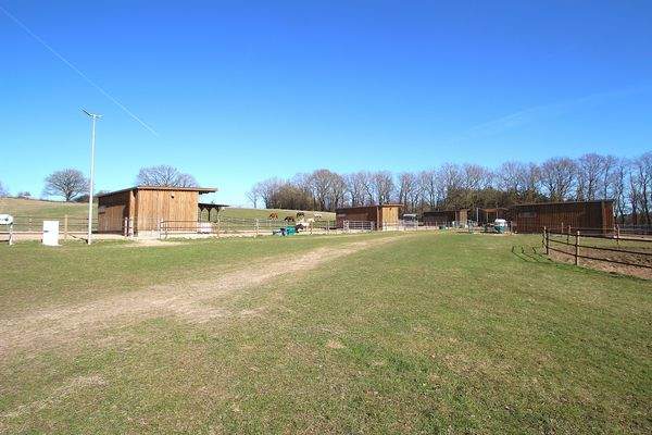 Blick auf die Offenställe und Paddocks