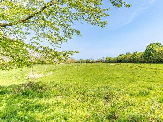 Hausweide hinter dem Haus