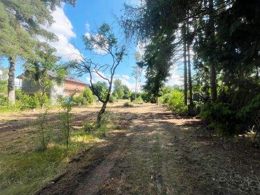 Blick nach vorn zur Straße