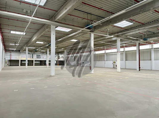 INFOS UNTER: 06171-586000