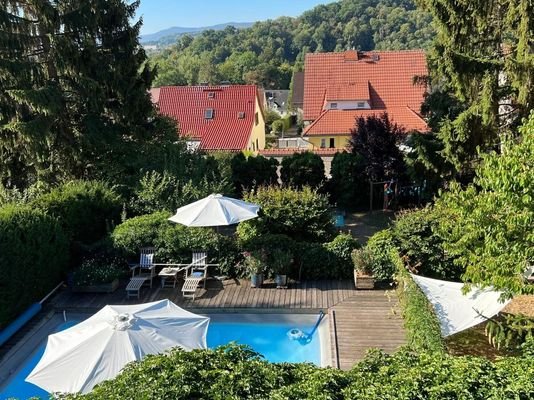 Blick in den Garten mit Pool