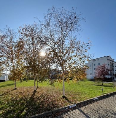 seitliche Fassadenansicht 