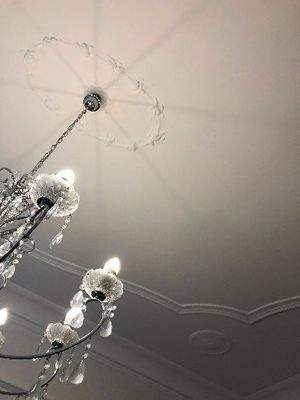 Büroraum 2 + 50 m² Gemeinschaftsflächen