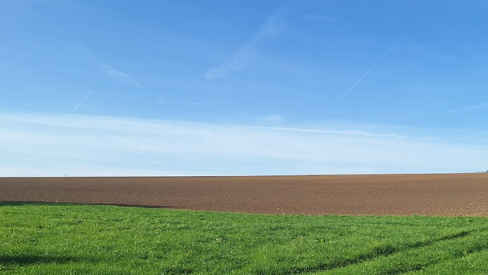 2026-03-11 13_40_06-Foto - Google&nbsp;Fotos — Mozilla Firefox.png