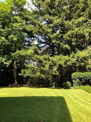 Gartendetail V