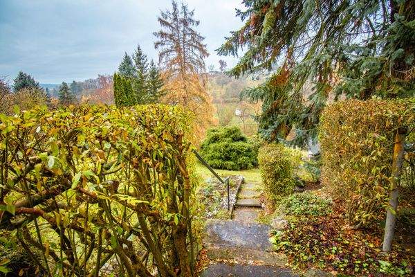 Weg zur Gartenhütte