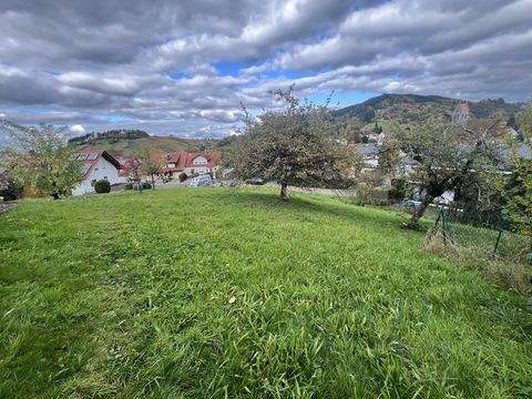 Bühl / Neusatz Grundstücke, Bühl / Neusatz Grundstück kaufen