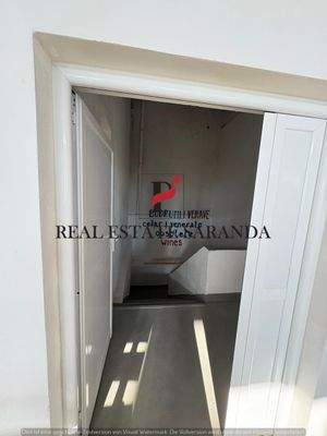 WhatsApp Image 2025-08-27 at 18.00.01.jpeg