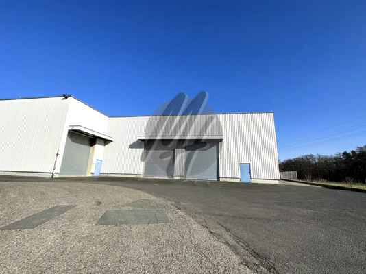 INFOS UNTER: 06171-586000