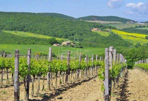 Großzügiges Anwesen in Panoramalage