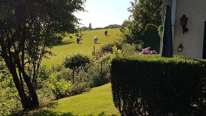 Garten Einliegerwohnung