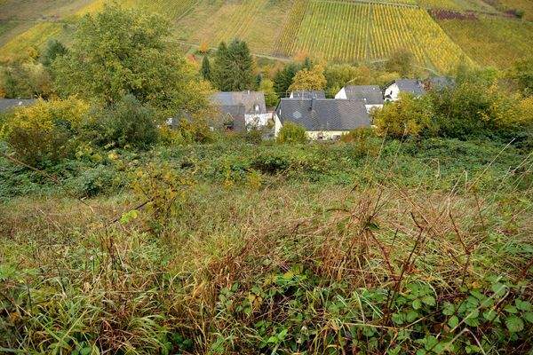 St. Laurentius-Straße 5 – 54320 Waldrach
