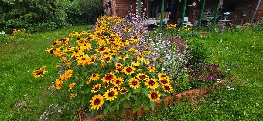 An jeder Ecke eine Blütenpracht