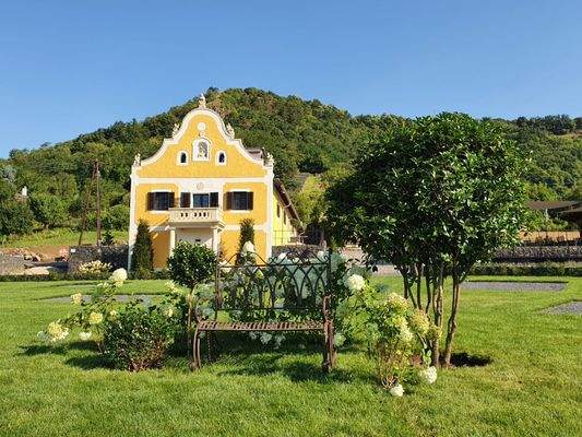 p51217290 másolata.jpg