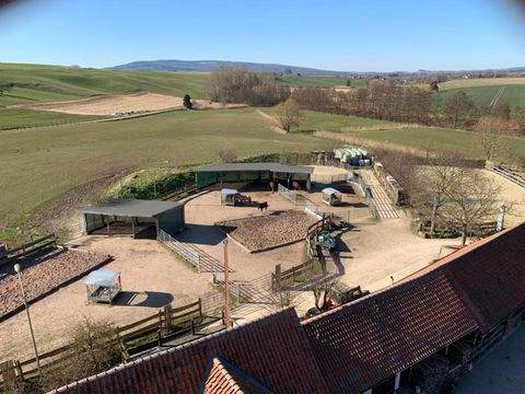 Coppenbrügge Bauernhöfe, Landwirtschaft, Coppenbrügge Forstwirtschaft