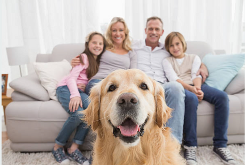 Neuruppin Wohnungen, Neuruppin Wohnung kaufen