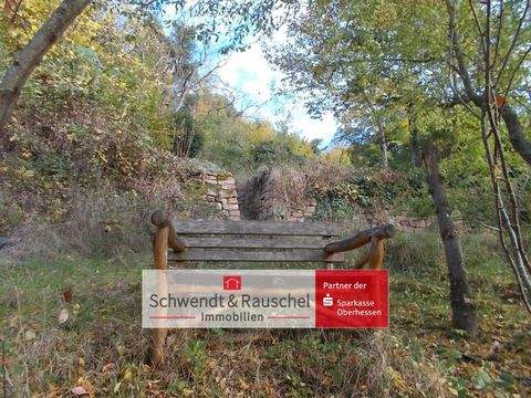 Büdingen Grundstücke, Büdingen Grundstück kaufen