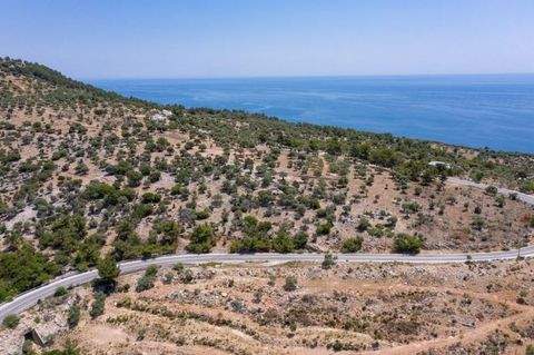 Thassos, Astris Grundstücke, Thassos, Astris Grundstück kaufen