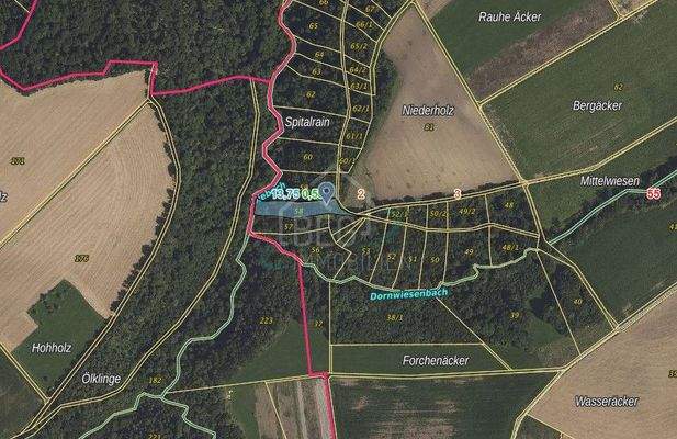 Flurstück 58