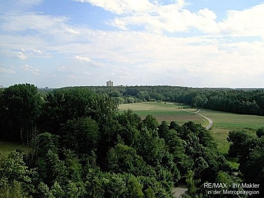 grüner Ausblick