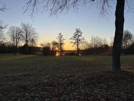 Blick vom Garten zum See