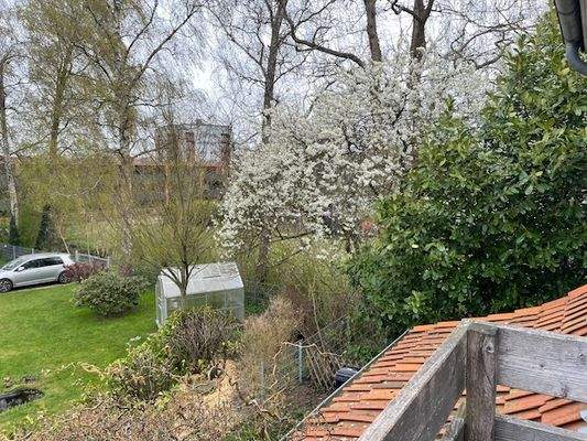 Dachterrasse-Ausblick-Bild 2