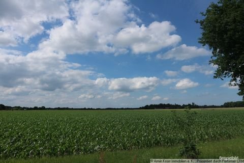 Rastede Bauernhöfe, Landwirtschaft, Rastede Forstwirtschaft