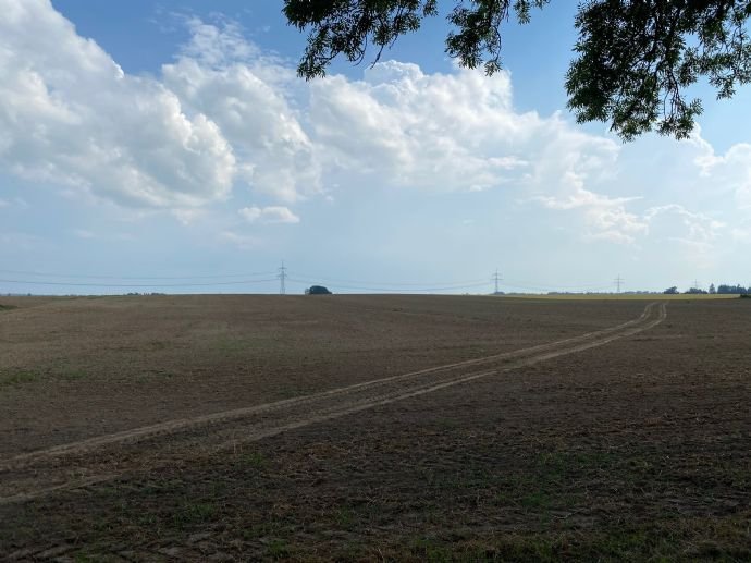 Ruhig gelegenes Baugrundstück in Krebsow bei Greifswald