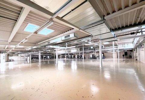 Erfurt Halle, Erfurt Hallenfläche