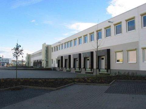 Ginsheim Halle, Ginsheim Hallenfläche