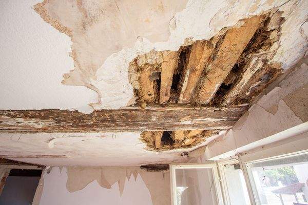 Wohnhäuser_Blochingen-01