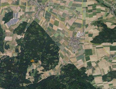 Burgsalach Bauernhöfe, Landwirtschaft, Burgsalach Forstwirtschaft