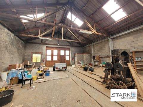 Bütthard Halle, Bütthard Hallenfläche