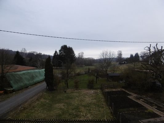 Blick in den Garten