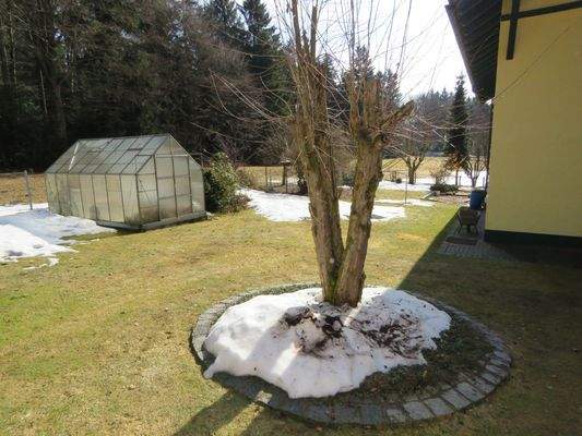 gepflegter Garten mit Gewächshaus hinter dem Haus 