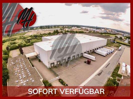 INFOS UNTER: 06171-586000