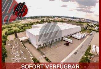 INFOS UNTER: 06171-586000