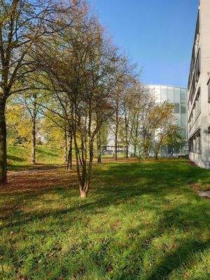 Der Tec-Tower aus Sicht der Aussen-Parkplätze