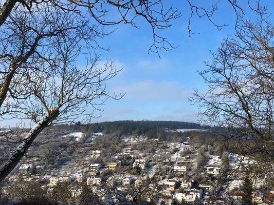 Winterimpressionen: Ausblick in unmittelbarer Nähe