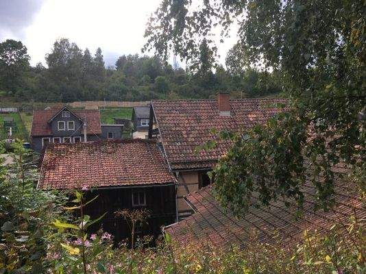 Blich aus Norden vom Garten aus 