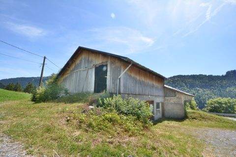 LA GIETTAZ Renditeobjekte, Mehrfamilienhäuser, Geschäftshäuser, Kapitalanlage