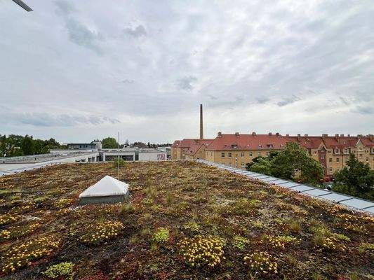 Ausblick Besprechungszimmer