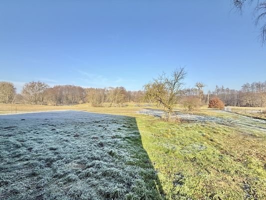 Blick über angrenzende Wiesen