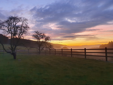 Bad Säckingen Bauernhöfe, Landwirtschaft, Bad Säckingen Forstwirtschaft